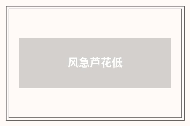 风急芦花低