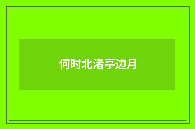 何时北渚亭边月