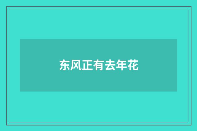 东风正有去年花