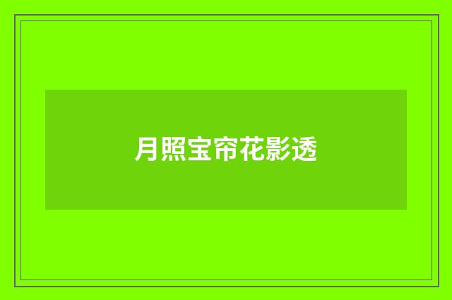 月照宝帘花影透