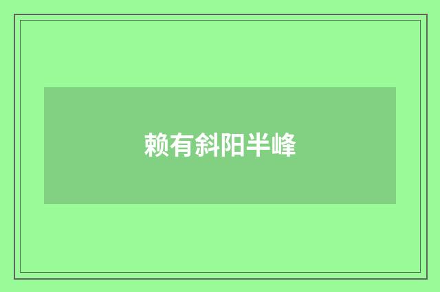 赖有斜阳半峰