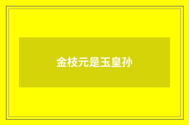 金枝元是玉皇孙