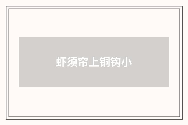 虾须帘上铜钩小