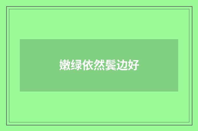 嫩绿依然鬓边好