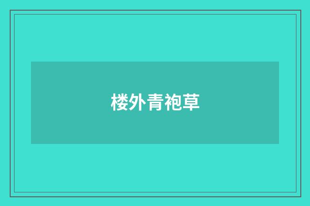 楼外青袍草