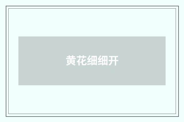 黄花细细开