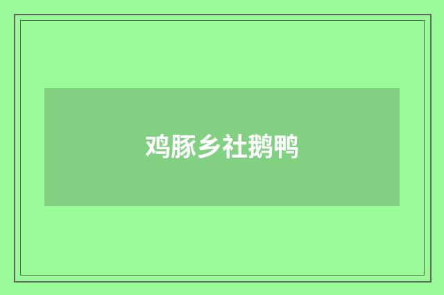 鸡豚乡社鹅鸭