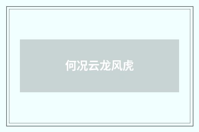 何况云龙风虎
