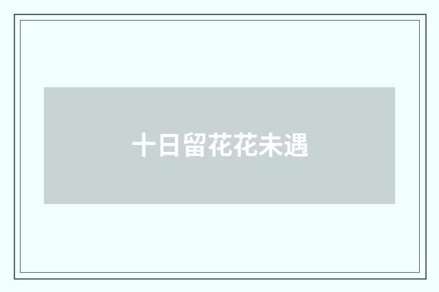 十日留花花未遇