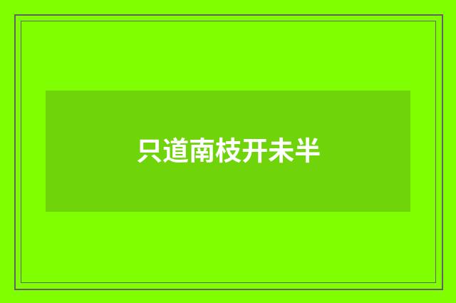 只道南枝开未半