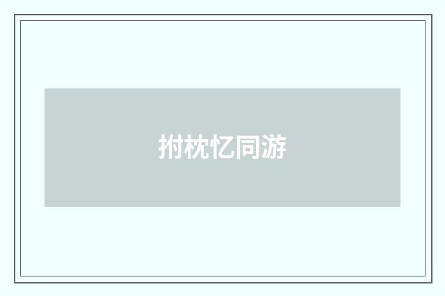 拊枕忆同游