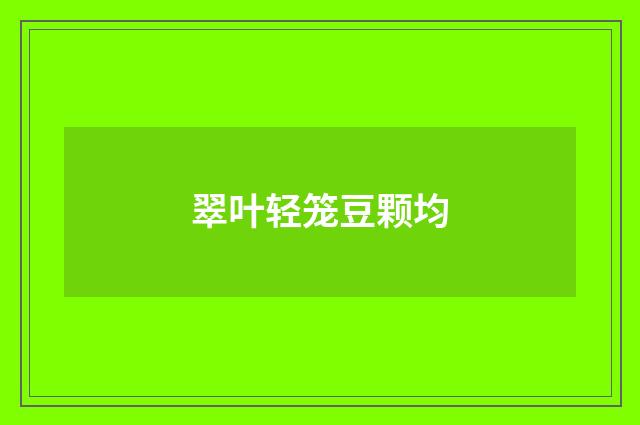翠叶轻笼豆颗均