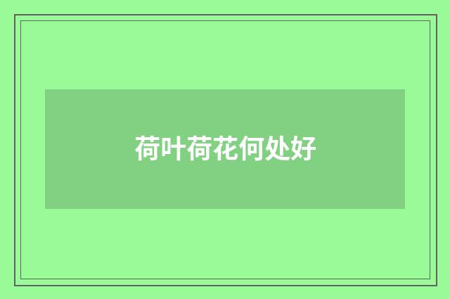 荷叶荷花何处好