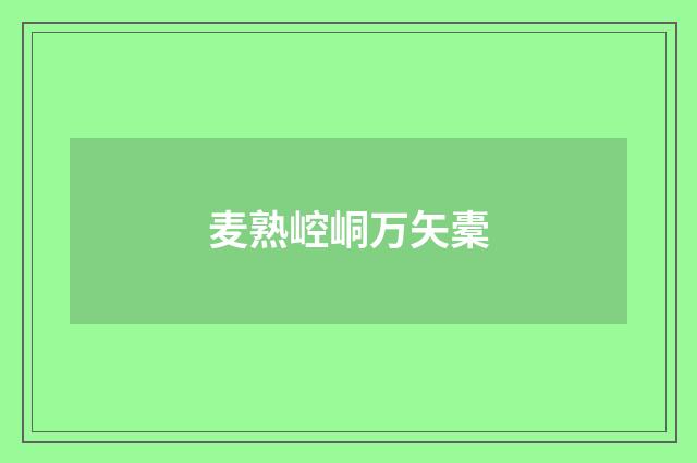 麦熟崆峒万矢橐
