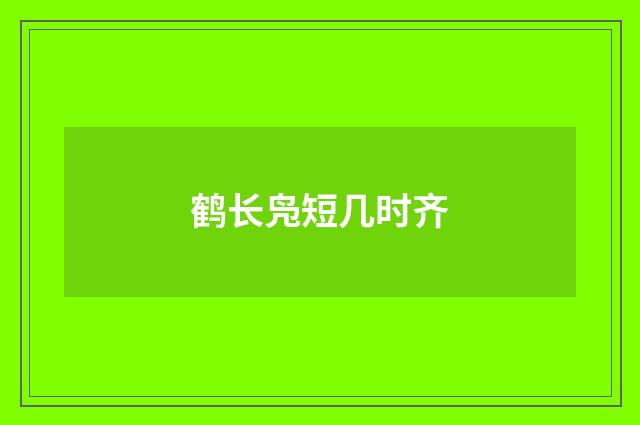 鹤长凫短几时齐