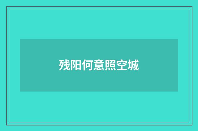 残阳何意照空城