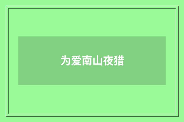 为爱南山夜猎