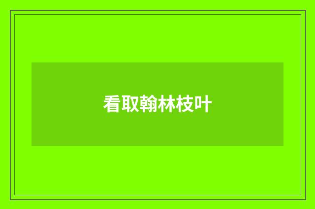 看取翰林枝叶
