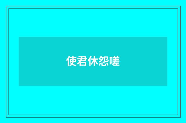使君休怨嗟
