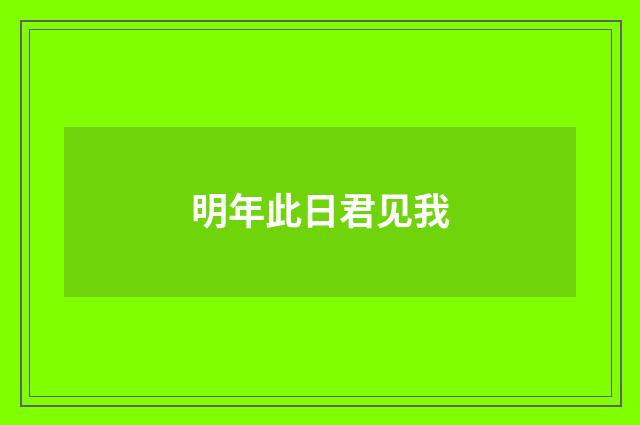 明年此日君见我