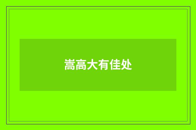 嵩高大有佳处