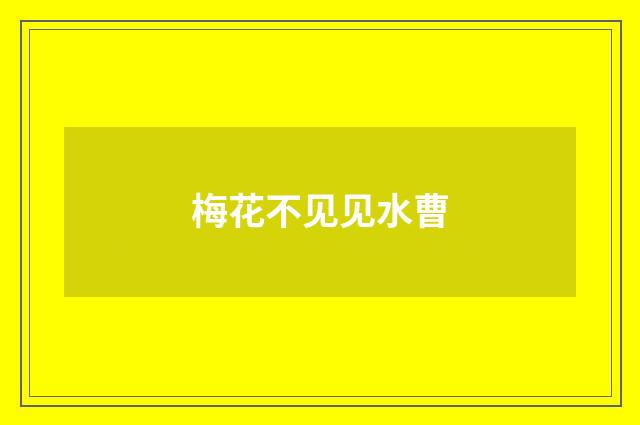 梅花不见见水曹