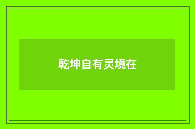 乾坤自有灵境在