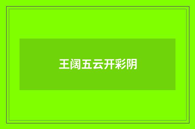 王阔五云开彩阴