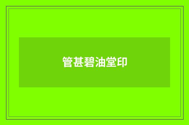 管甚碧油堂印