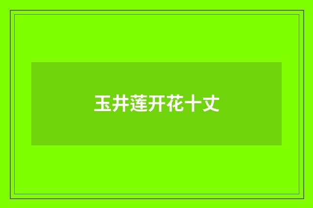 玉井莲开花十丈
