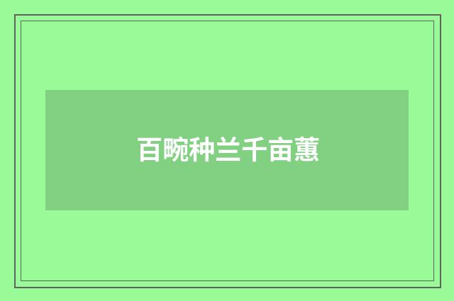 百畹种兰千亩蕙