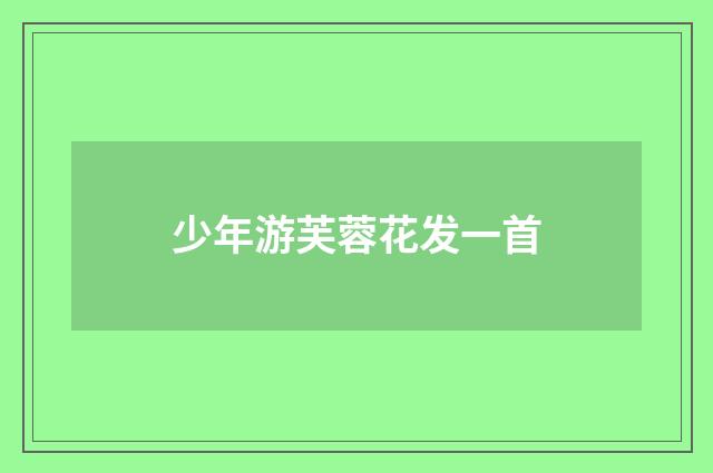 少年游芙蓉花发一首