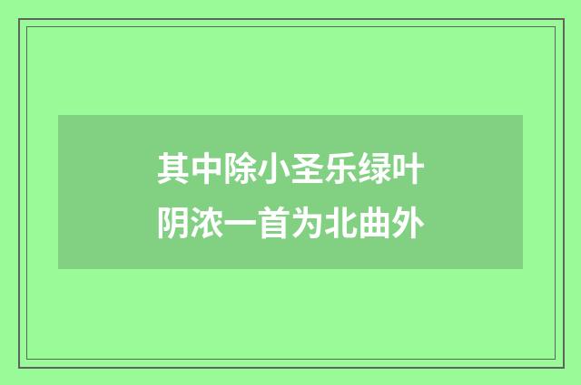 其中除小圣乐绿叶阴浓一首为北曲外