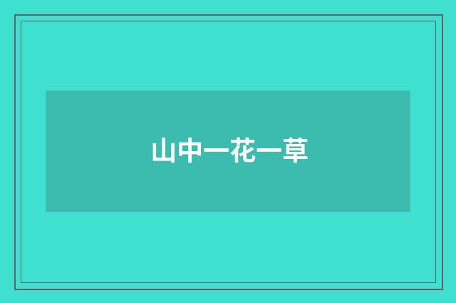 山中一花一草