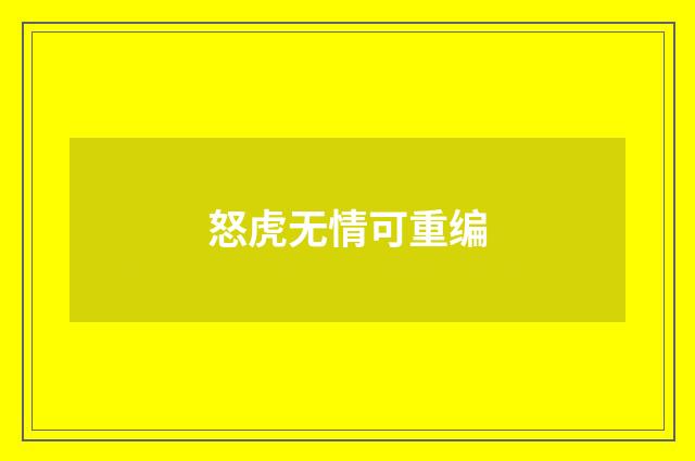 怒虎无情可重编