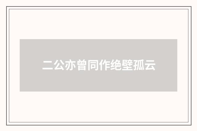 二公亦曾同作绝壁孤云