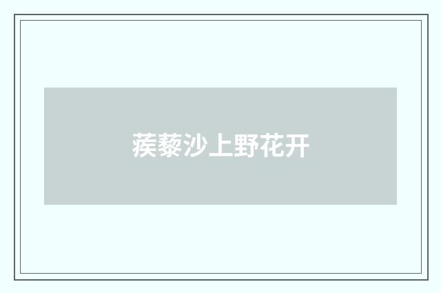 蒺藜沙上野花开