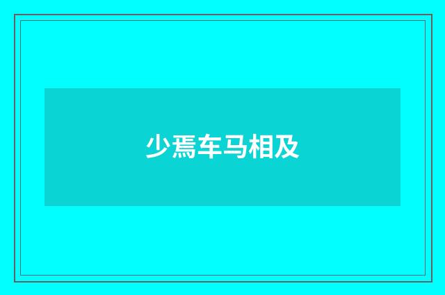 少焉车马相及
