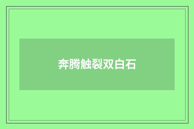 奔腾触裂双白石