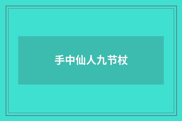 手中仙人九节杖