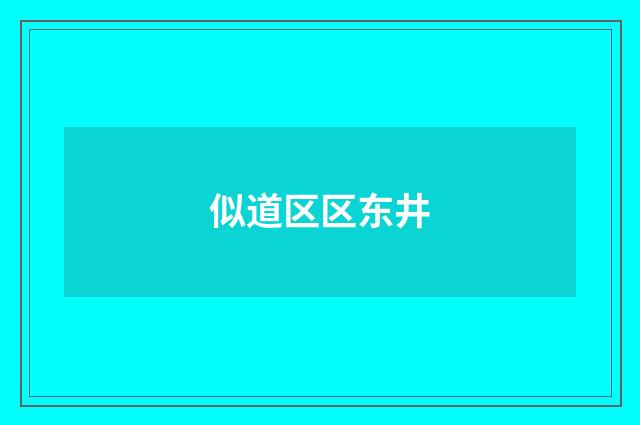 似道区区东井