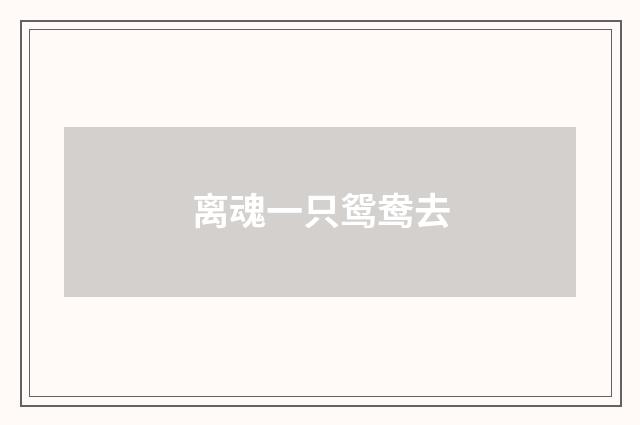 离魂一只鸳鸯去