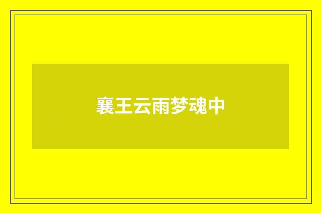 襄王云雨梦魂中