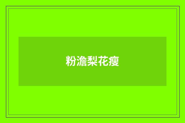 粉澹梨花瘦