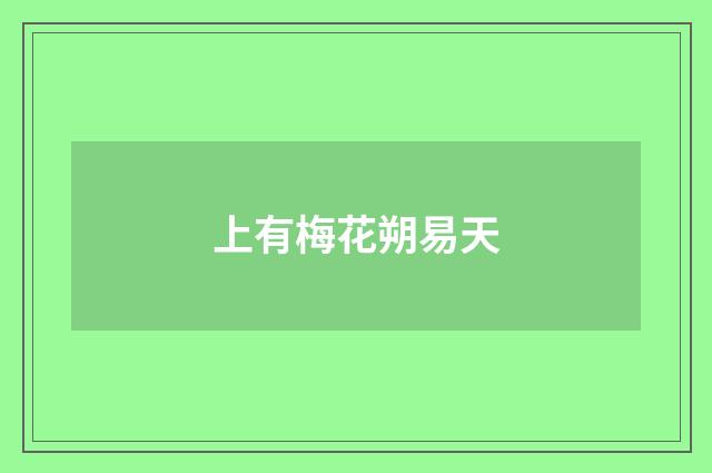 上有梅花朔易天