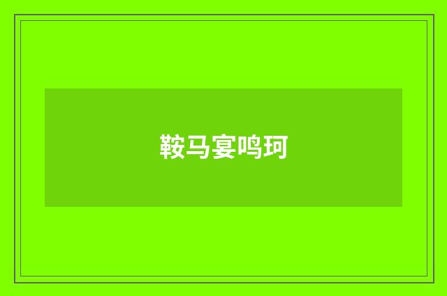鞍马宴鸣珂