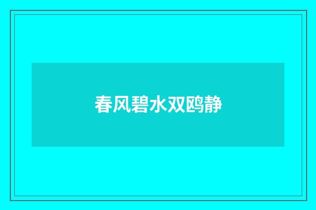春风碧水双鸥静