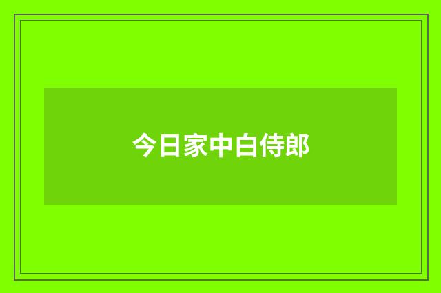 今日家中白侍郎