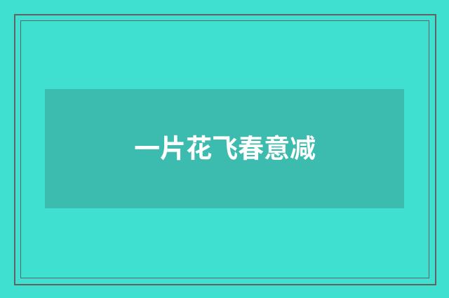 一片花飞春意减
