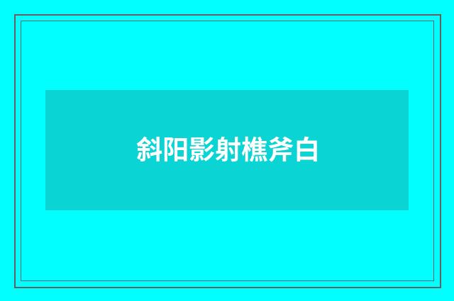 斜阳影射樵斧白